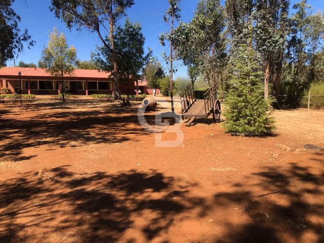 VENTA – Campo Productivo 204 ha · Cauquenes (Curica)