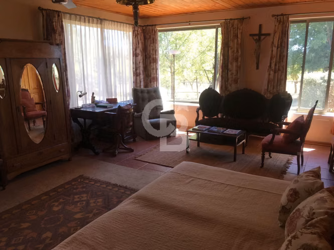 VENTA – Campo Productivo 204 ha · Cauquenes (Curica)