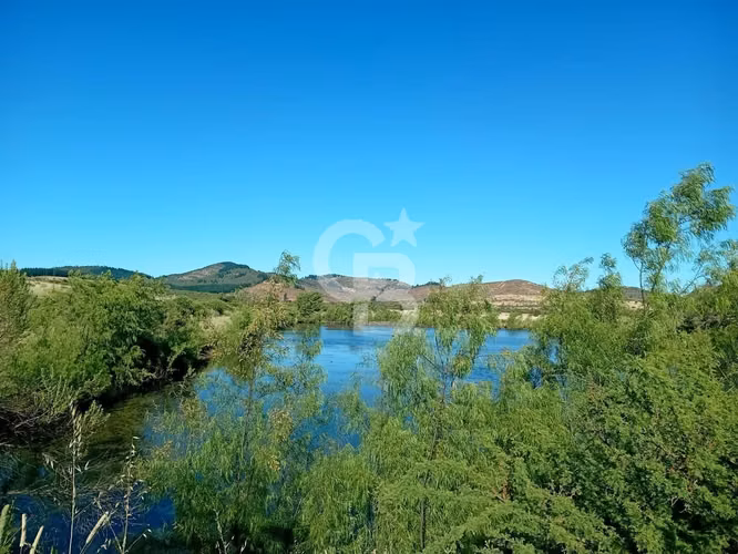 VENTA – Campo Productivo 204 ha · Cauquenes (Curica)