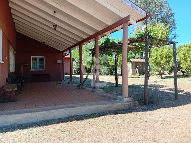 VENTA – Campo Productivo 204 ha · Cauquenes (Curica)