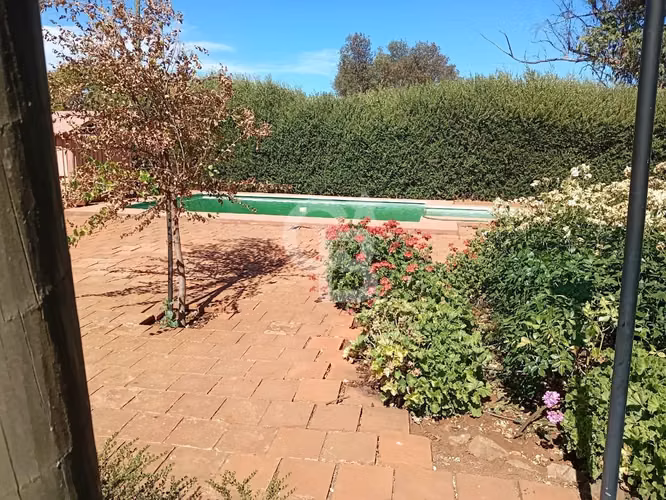 VENTA – Campo Productivo 204 ha · Cauquenes (Curica)
