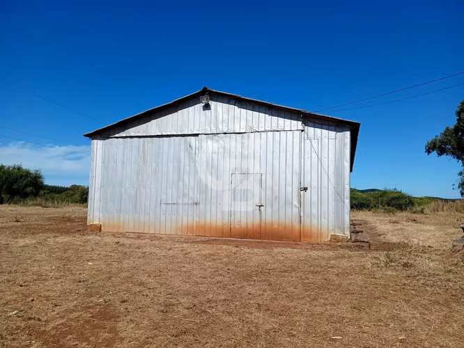 VENTA – Campo Productivo 204 ha · Cauquenes (Curica)