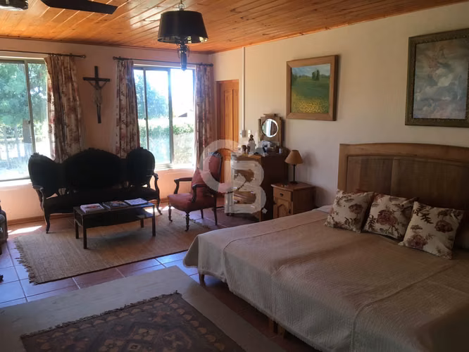 VENTA – Campo Productivo 204 ha · Cauquenes (Curica)