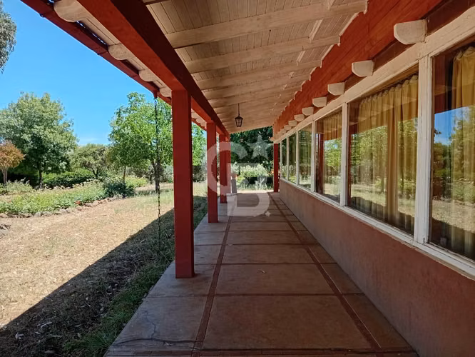VENTA – Campo Productivo 204 ha · Cauquenes (Curica)
