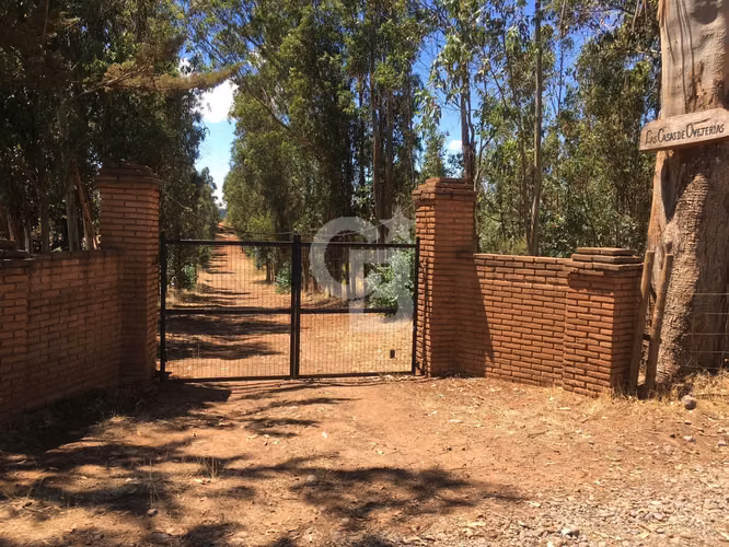 VENTA – Campo Productivo 204 ha · Cauquenes (Curica)