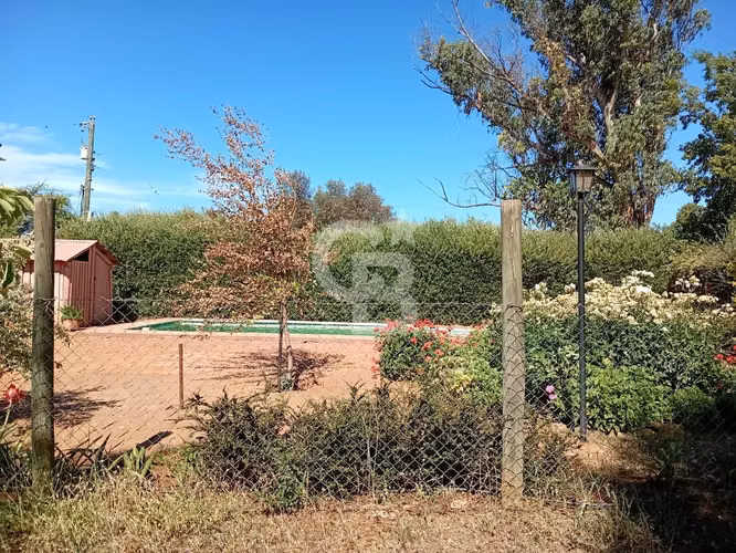 VENTA – Campo Productivo 204 ha · Cauquenes (Curica)