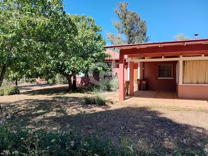 VENTA – Campo Productivo 204 ha · Cauquenes (Curica)