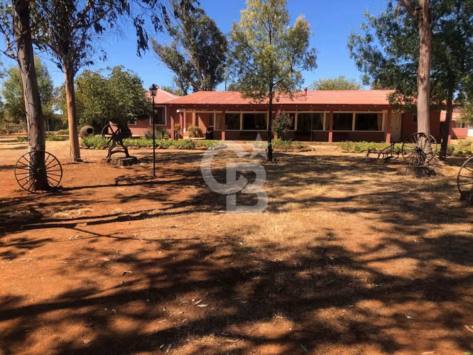 VENTA – Campo Productivo 204 ha · Cauquenes (Curica)