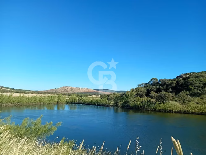 VENTA – Campo Productivo 204 ha · Cauquenes (Curica)