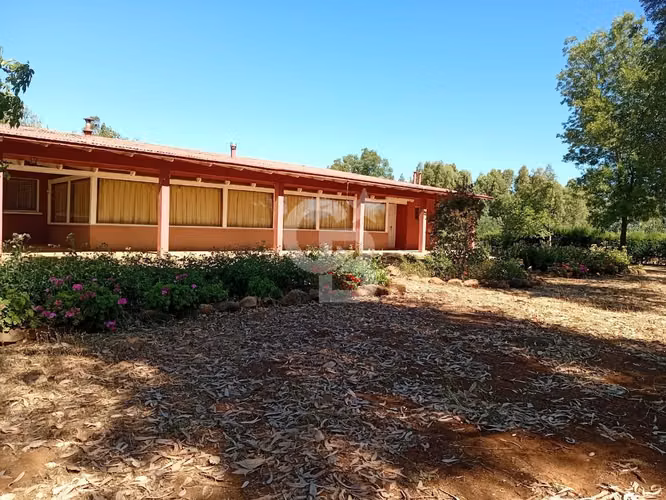 VENTA – Campo Productivo 204 ha · Cauquenes (Curica)