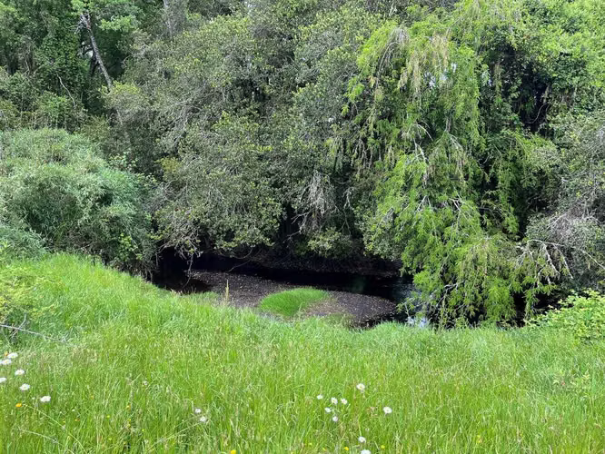 Amplio Terreno con Excelente Conectividad (135791)
