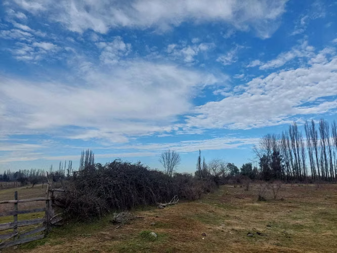 6 hectáreas con agua de riego en Longaví (135841)