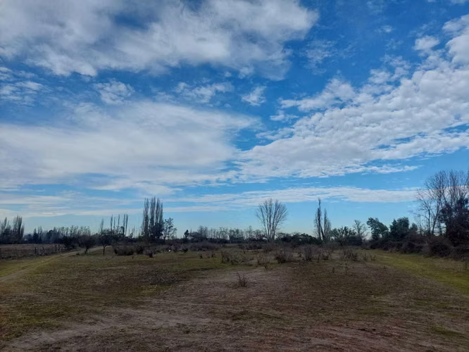 6 hectáreas con agua de riego en Longaví (135841)