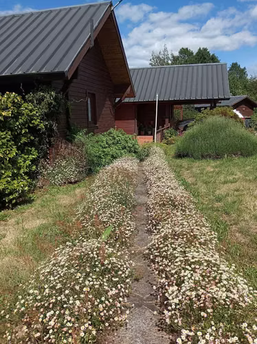 Casa con Gran Terreno en Parque Horizonte (135837)