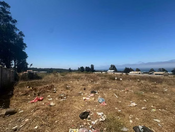 TERRENO ALTA PLUSVALIA (135865)