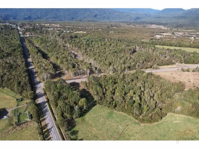 VENDE LOTE 5000 M2 SECTOR CORRENTOSO - Imagen 8