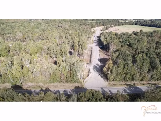 VENDE LOTE 5000 M2 SECTOR CORRENTOSO