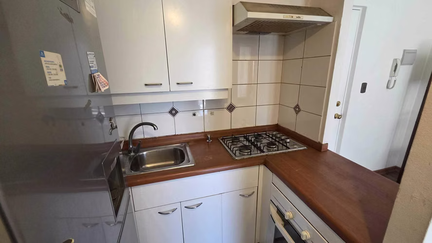Arriendo departamento en Barrio Brasil (136278)