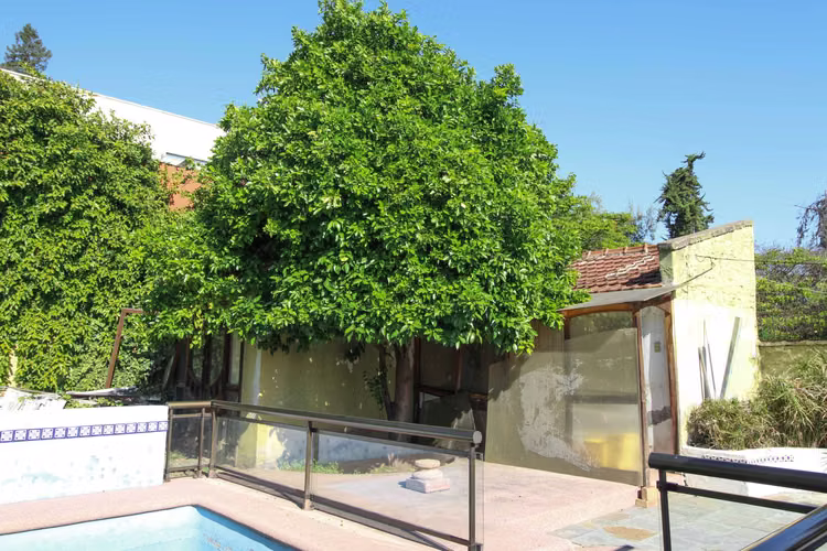 Vivienda con Excelente Conectividad (136309)