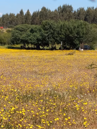 EN VENTA PARCELA SECTOR QUIÑIHUAO - SAN NICOLAS