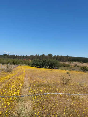 EN VENTA PARCELA SECTOR QUIÑIHUAO - SAN NICOLAS