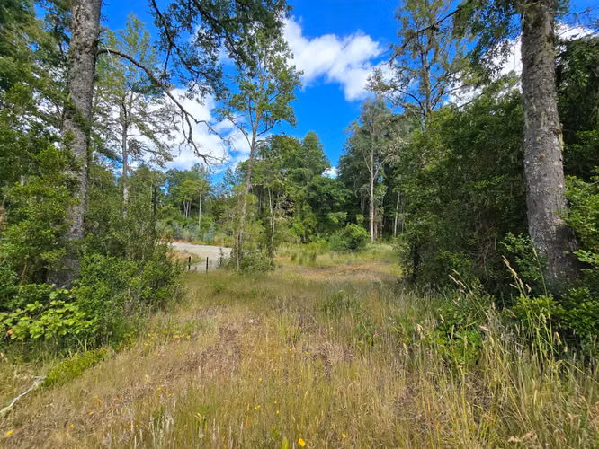 Cabaña en Venta en Parcela de 5.000 m² – Sector Chancoyán Alto