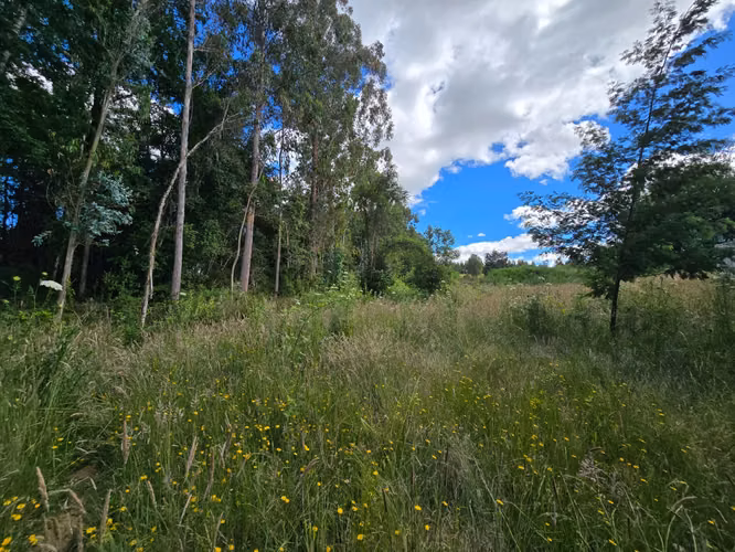 Cabaña en Venta en Parcela de 5.000 m² – Sector Chancoyán Alto