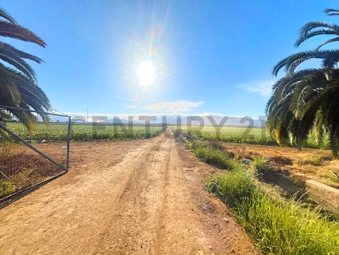Vendo terreno sector Pan de Azúcar, Coquimbo