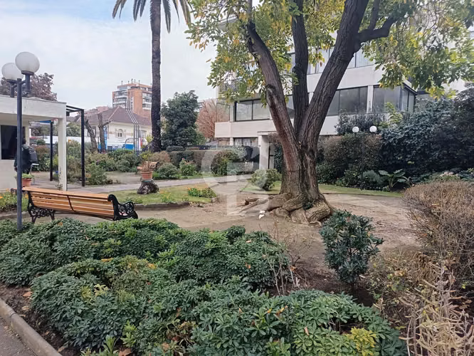 Oficina sector Pedro de Valdivia Providencia