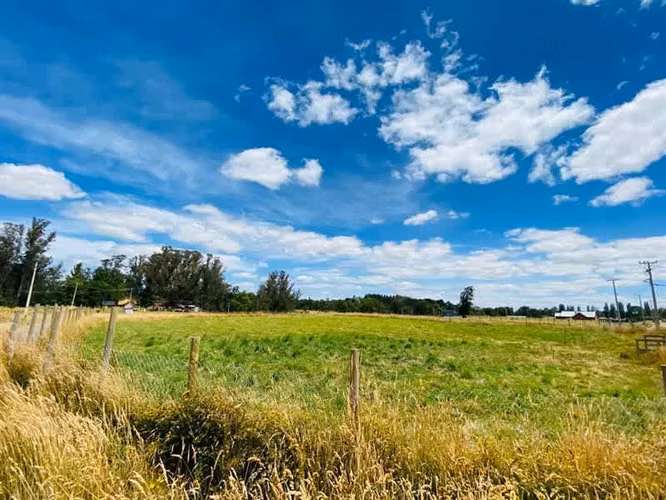 Parcela plana sector cerrado, San Pablo, Osorno