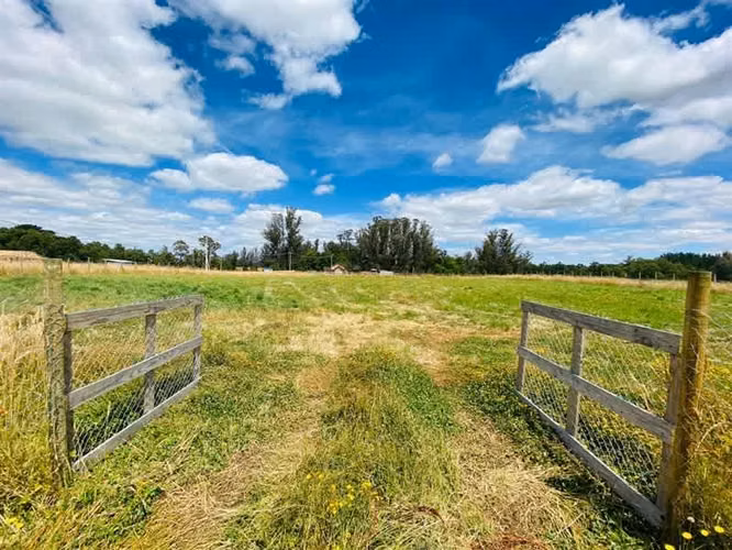 Parcela plana sector cerrado, San Pablo, Osorno