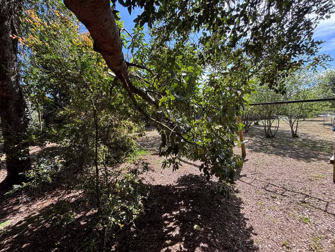 Casa con 3 cabañas en venta en Puerto Varas (137055)