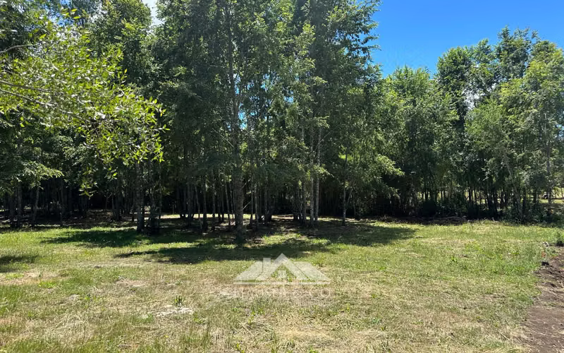 Venta sin comisión: Nuevo Proyecto Parcelas Refugio El Radal Villarrica