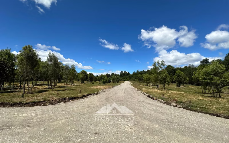 Venta sin comisión: Nuevo Proyecto Parcelas Refugio El Radal Villarrica