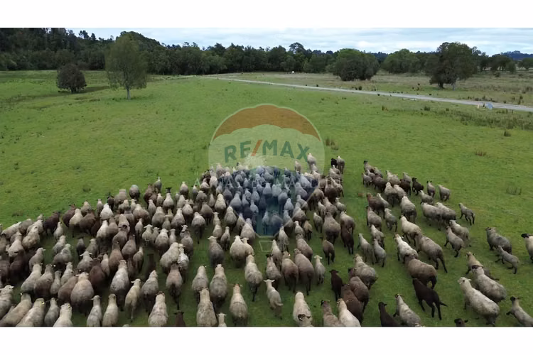 Parcelas - haciendas aguas del maullin