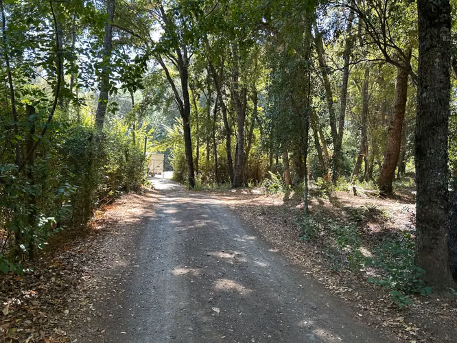 VENTA TERRENO - SITIO 4700MTS San Clemente
