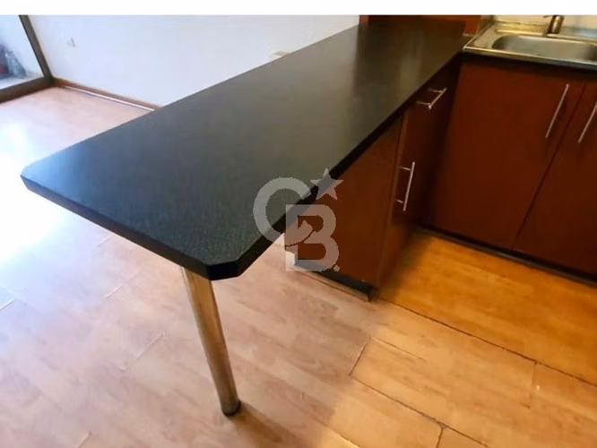 Impecable departamento en pleno centro de Santiago