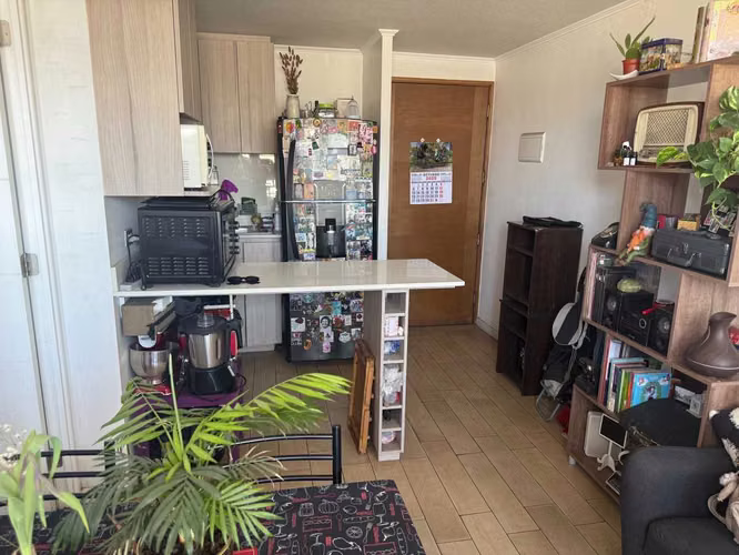 Lindo Departamento 1D1B1E (136561)