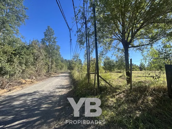 Venta Parcela Molco Villarrica - Imagen 13