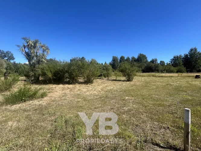 Venta Parcela Molco Villarrica - Imagen 3