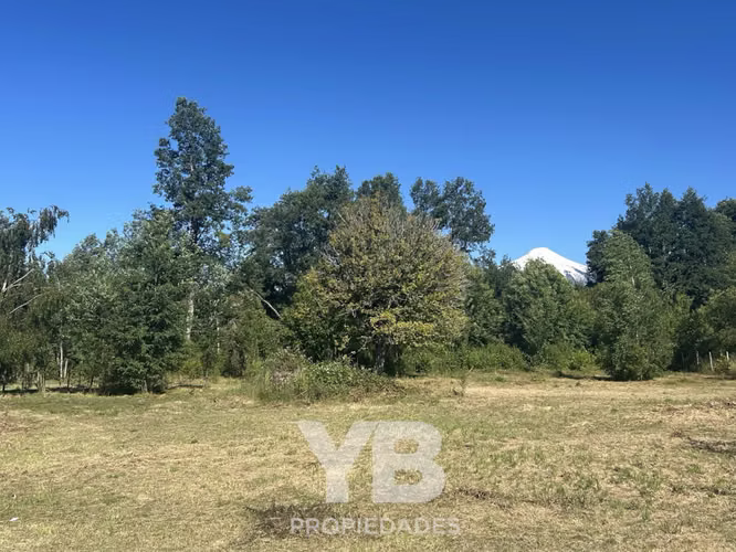 Venta Parcela Molco Villarrica - Imagen 5