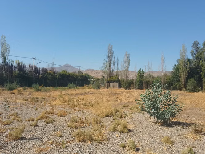 ARRIENDO TERRENO - SITIO 5000MTS Colina
