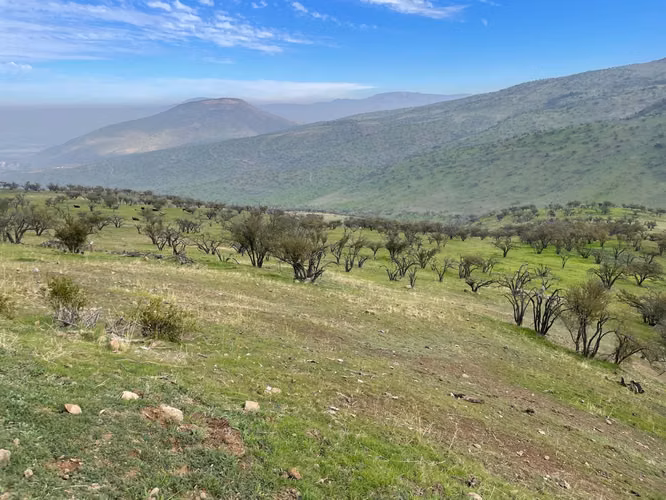 VENTA TERRENO - SITIO 5000MTS Colina - Imagen 9