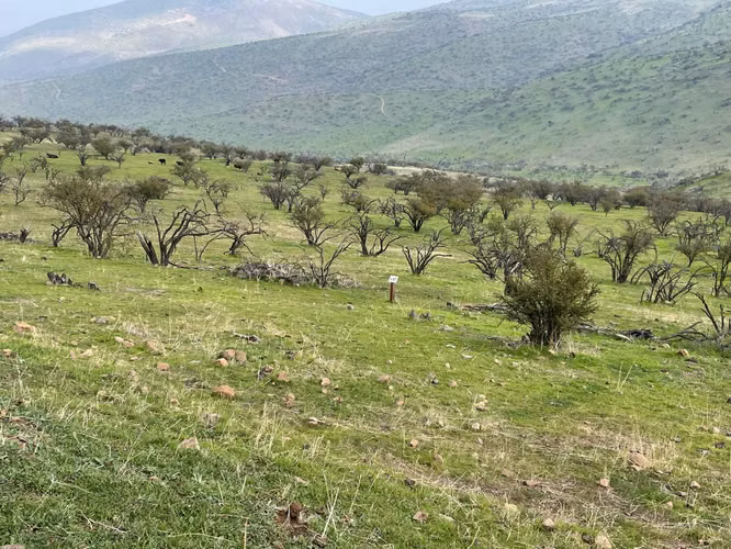 VENTA TERRENO - SITIO 5000MTS Colina