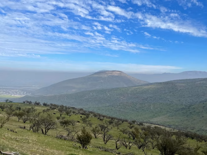 VENTA TERRENO - SITIO 5000MTS Colina - Imagen 6