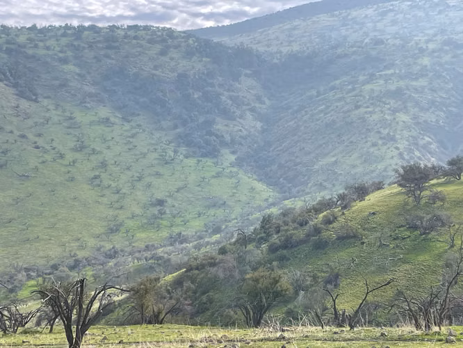 VENTA TERRENO - SITIO 5000MTS Colina - Imagen 12
