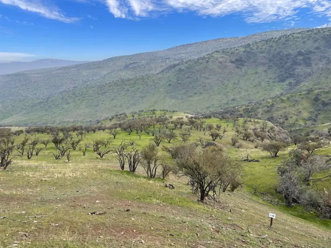 VENTA TERRENO - SITIO 5000MTS Colina - Imagen 2