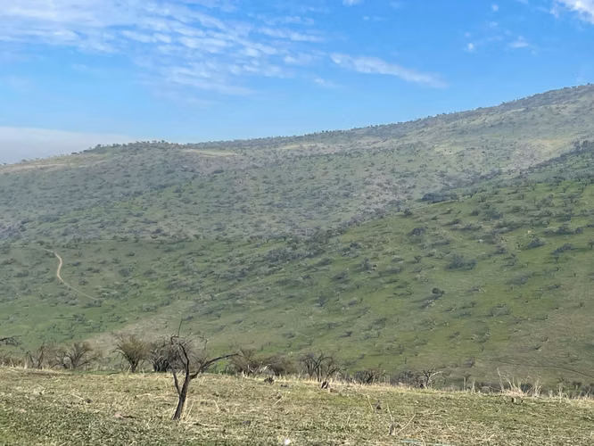VENTA TERRENO - SITIO 5000MTS Colina