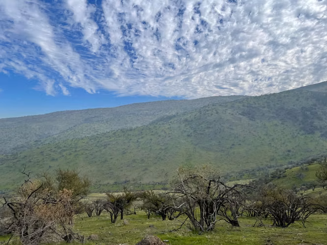 VENTA TERRENO - SITIO 5000MTS Colina