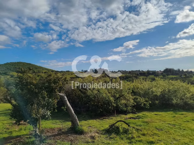 1/2 Há En Valle Alegre Con Maravillosa Vegetación